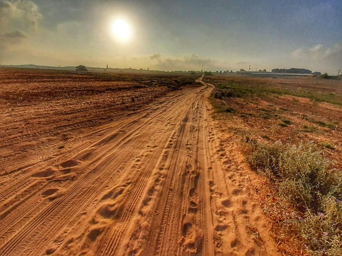 Kibbutz Hatzor A Room Close To Ashdod Hatzor Ashdod Luaran gambar