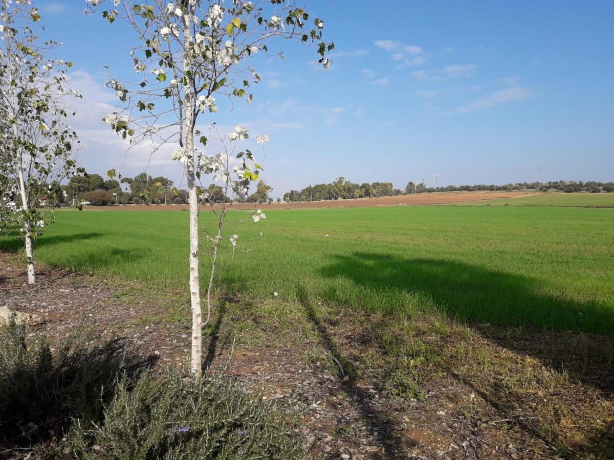 Kibbutz Hatzor A Room Close To Ashdod Hatzor Ashdod Luaran gambar